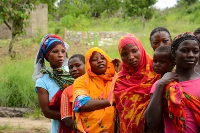 DSC_9453 (Large).JPG